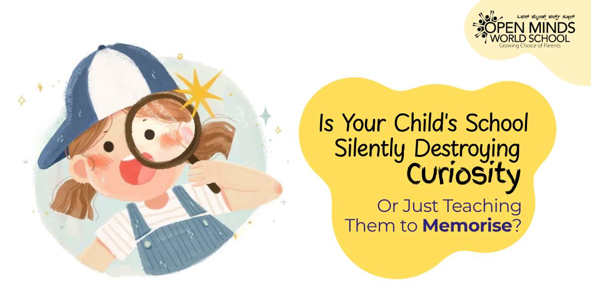 Is Your Child's School Silently Destroying Curiosity?
