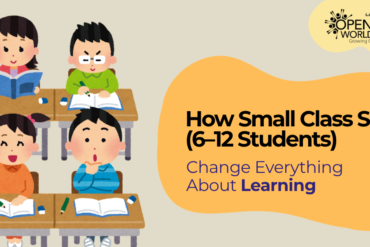 How Small Class Sizes (6–12 Students) Change Everything About Learning